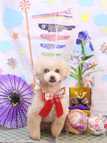 20240512HONEYちゃん